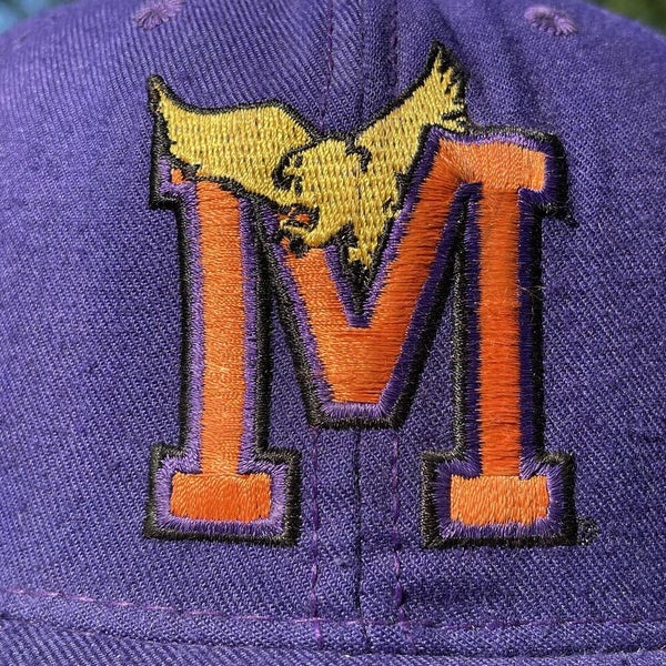 Minnesota Vikings Starter NFL Team The Natural Snapback Hat Purple WOOL  Vintage