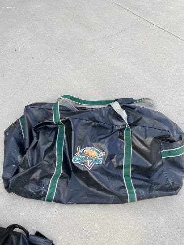 Used  Goalie Bag