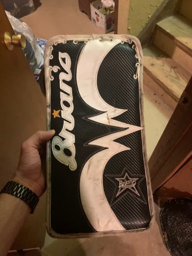 Brians Beast Blocker
