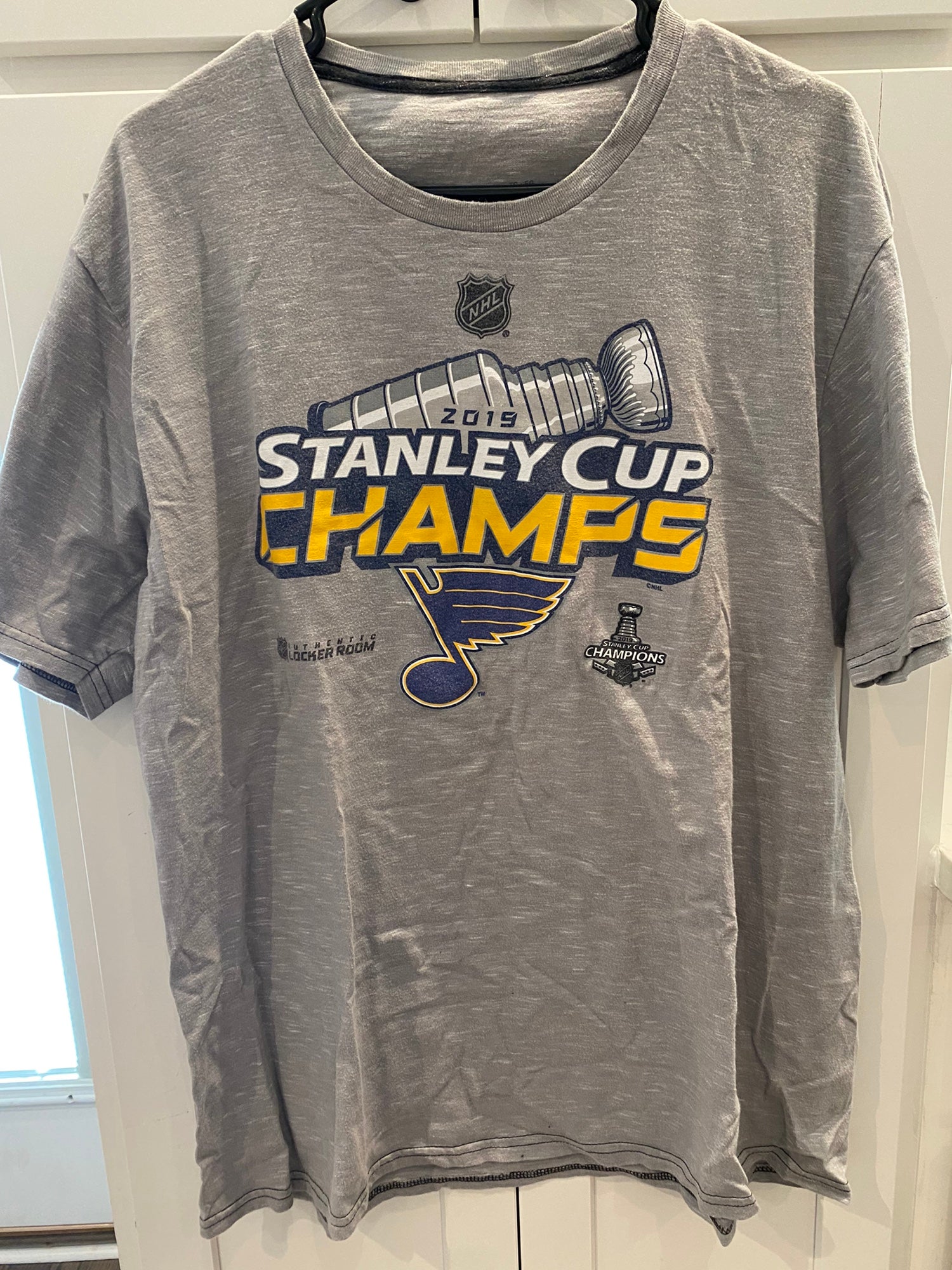 Men's St. Louis Blues Fanatics Branded Gray 2019 Stanley Cup Champions  Locker Room T-Shirt