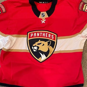 RARE Florida Panthers blank Canadian Made Goalie Cut Adidas 58 G
