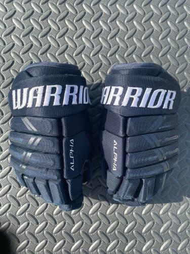 Warrior 11" Alpha DX4 Navy Gloves