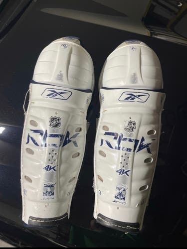 RBK 4K 15 inch shin