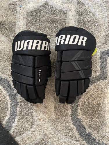 Used Warrior 14" Gloves