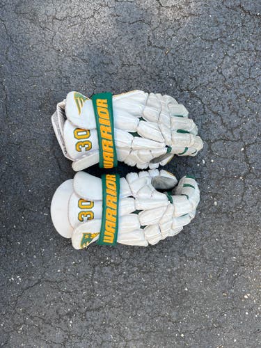 Custom Warrior Regulator 2 Gloves