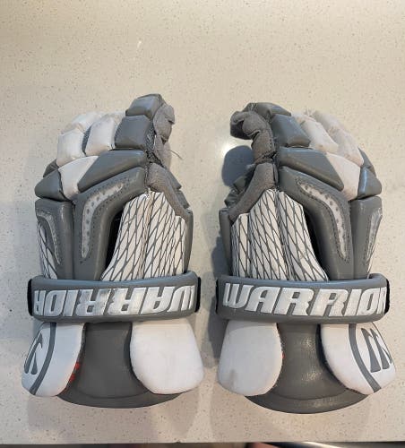 Warrior 13" Burn Pro Gloves