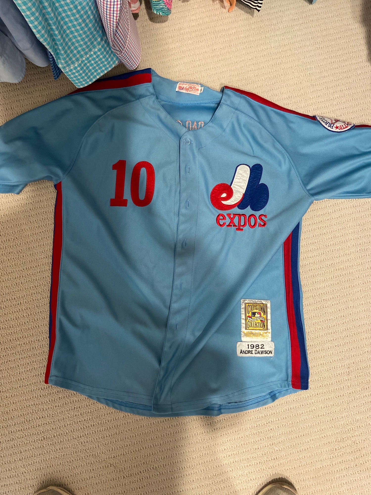 andre dawson expos jersey
