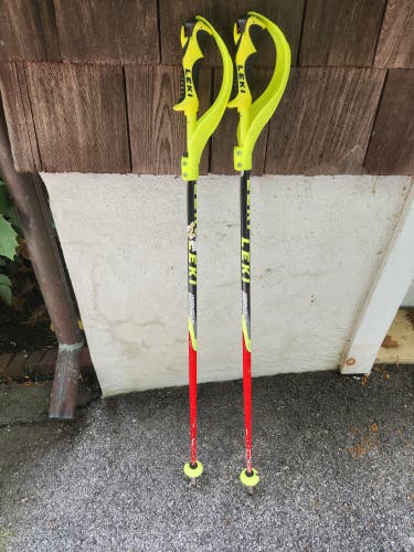 Used Racing Ski Poles