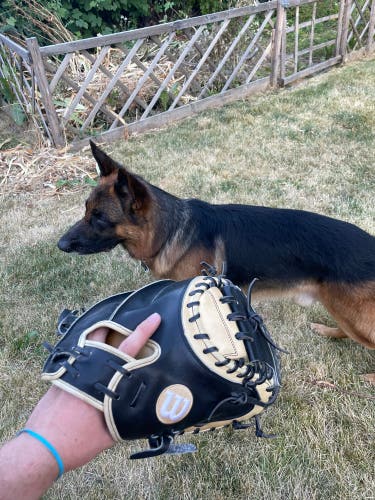 A2000 Catchers Glove