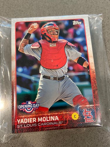 MLB St Louis Cardinals Hand Collated Baseball Card Team Lot Bundle - 25 Cards