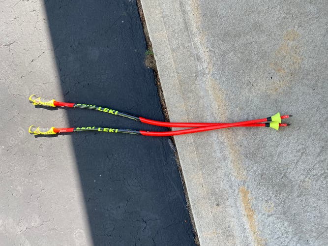 Leki poles 110