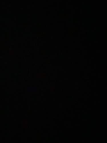 10 Lululemon Shirts, 2 Lululemon Shorts and 6 Gymshark Shirts