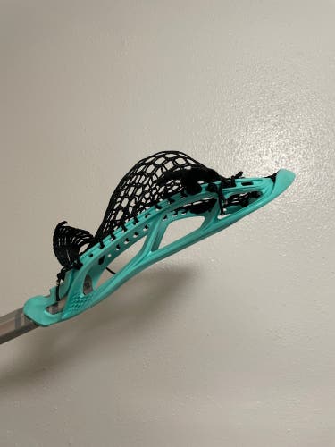 New Attack & Midfield Strung Stallion 700 Head
