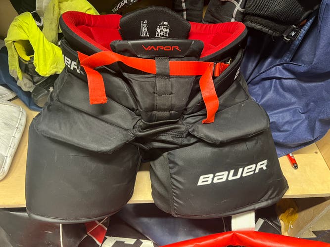 Bauer Vapour X2.9 Goalie Pants