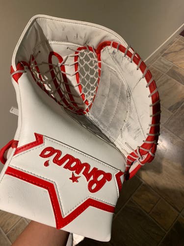 Brian’s Alite Glove