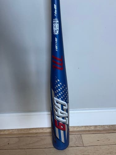 2021 Alloy (-10) 21 oz 31" Cat 9 Bat