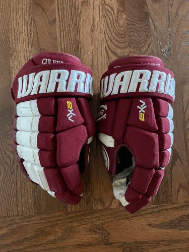 Warrior 14" Pro Stock Dynasty AX2 Gloves