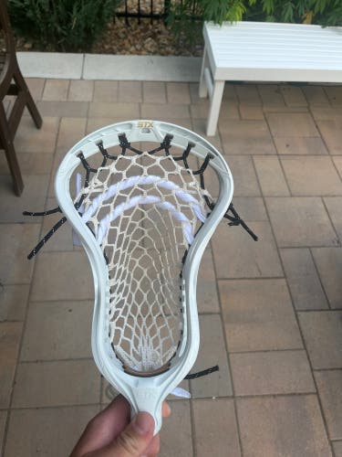 Brand New Stallion Omega w/ TMD 7D