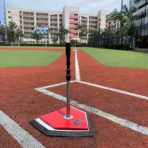TwinTee Batting Tee