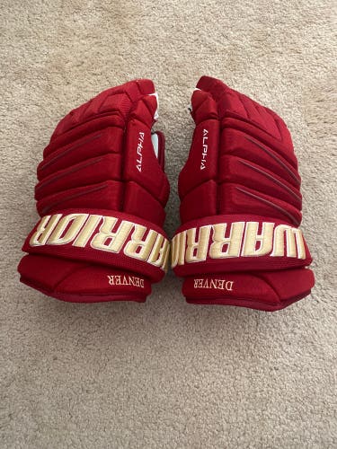 New Warrior 14" Alpha DX Pro Gloves