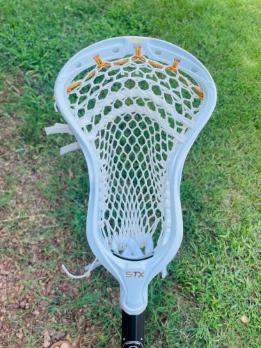 New STX Stallion 900 W/ ECD Hero 3.0