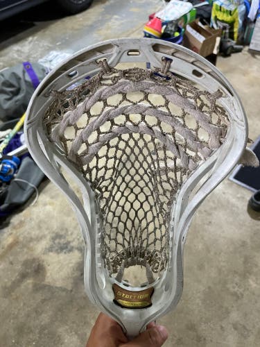 Used Attack & Midfield Strung Stallion Head