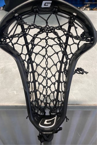 Gait Whip Used Stick