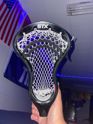 Stx Stallion Head