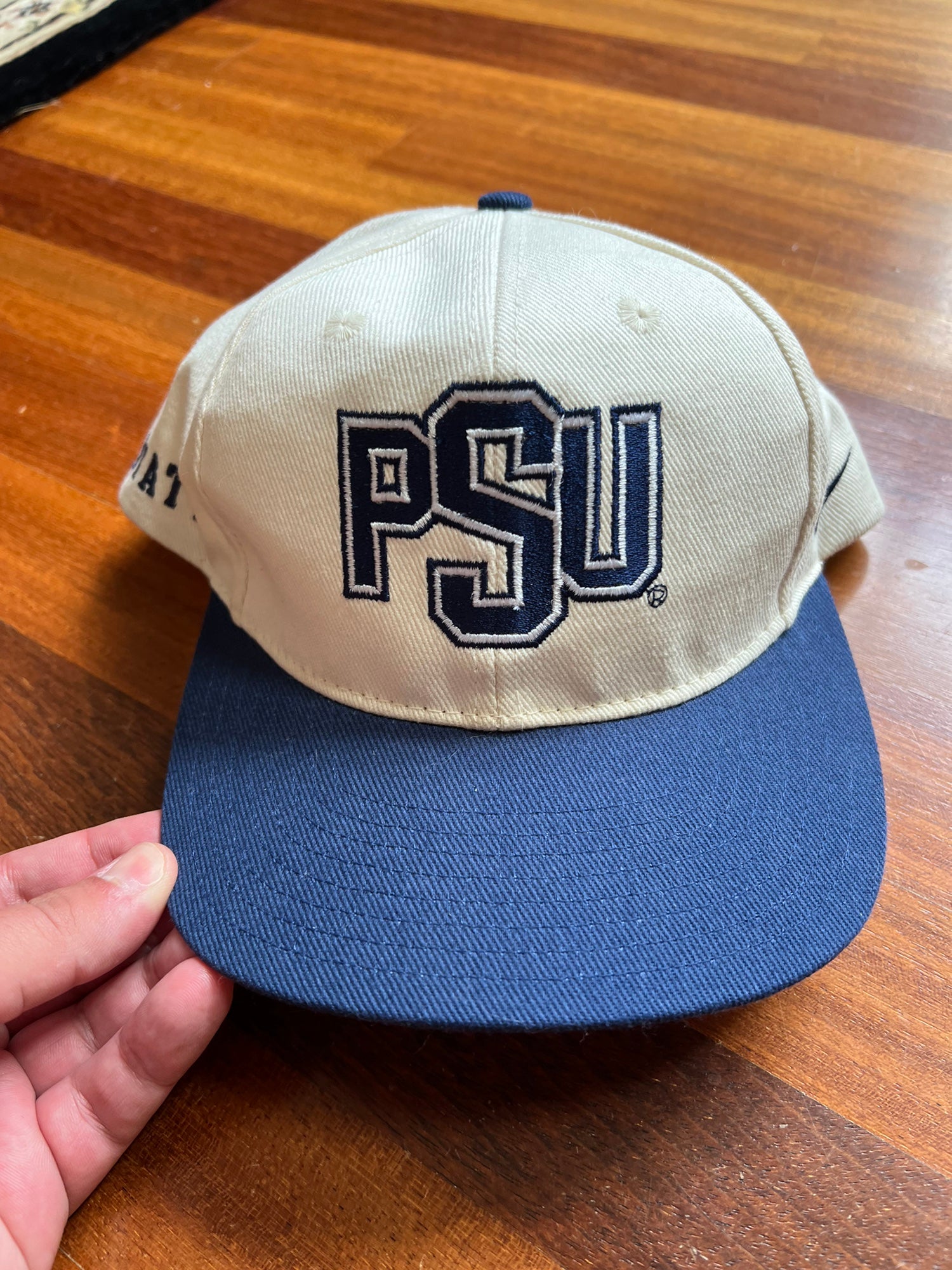 Penn State Nittany Lions Vintage Nike Team Sports Strapback Cap Hat - –  thecapwizard