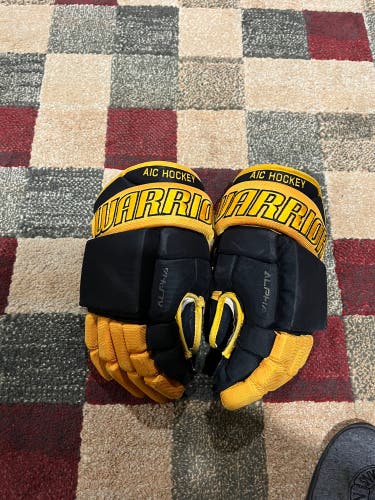 Warrior 14" AIC Hockey Glove