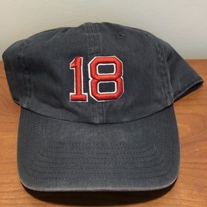 Boston Red Sox Hat Baseball Cap Fitted Medium Adult Twins 18 Dice K Sample Retro