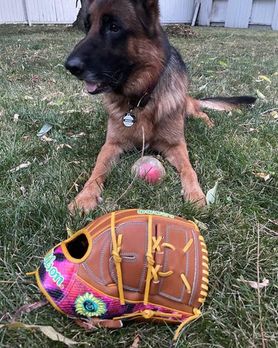 Clevinger A2000 Baseball Glove