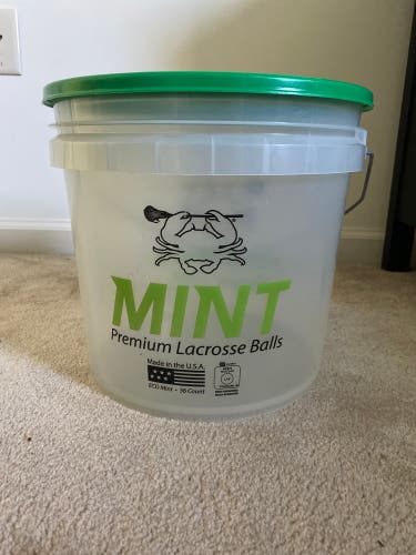 East coast dyes mint ball bucket