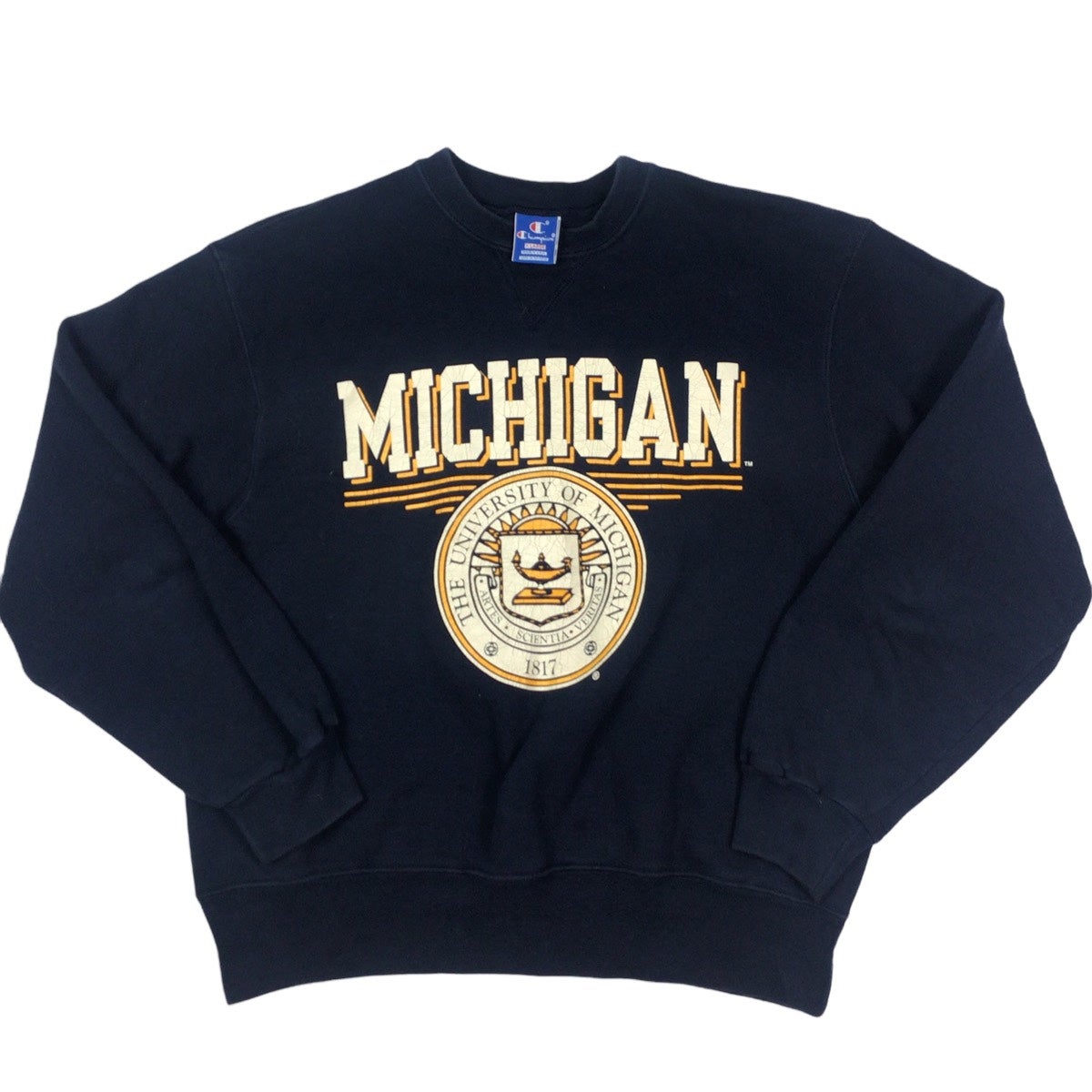 Vintage 90s Champion Michigan Wolverines Crewneck sweatshirt. Deep
