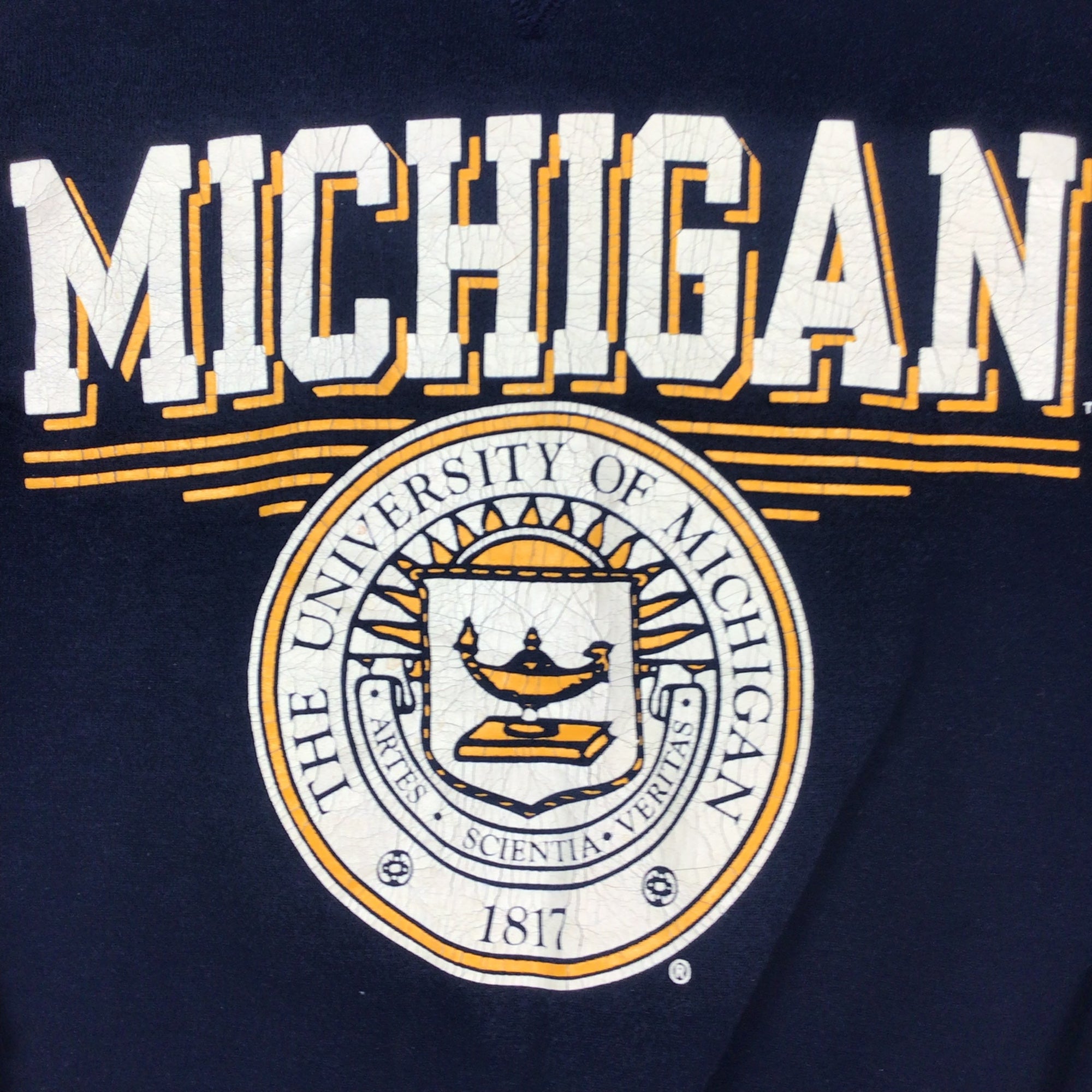 Champion University of Michigan Navy/Gray Old School Fleece Shorts