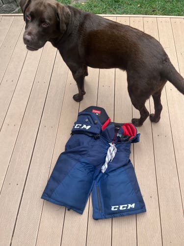 Senior Small CCM JetSpeed FT1 Hockey Pants