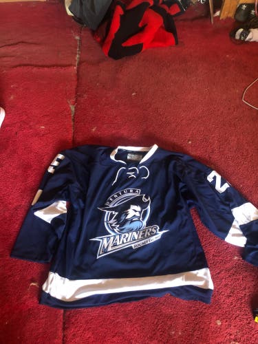 Blue Used Large  Jersey