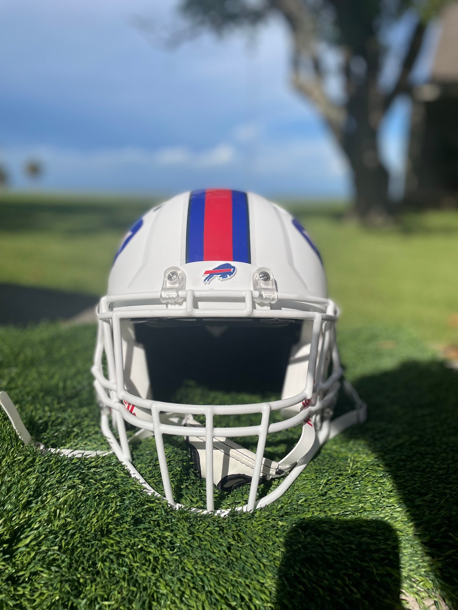 BUFFALO BILLS Riddell Speed S2EG-HT-SP Football Helmet Facemask (WHITE)