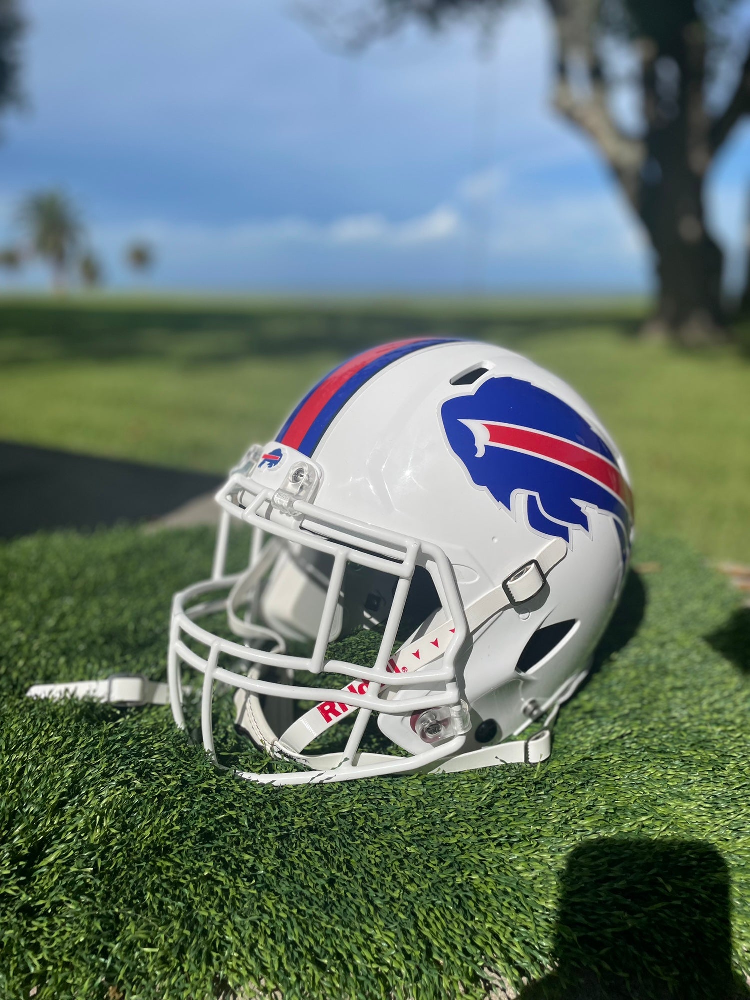 Buffalo Bills Helmet (2002-2010) - Red helmet, blue leaping buffalo logo  with navy, grey and white stripe…