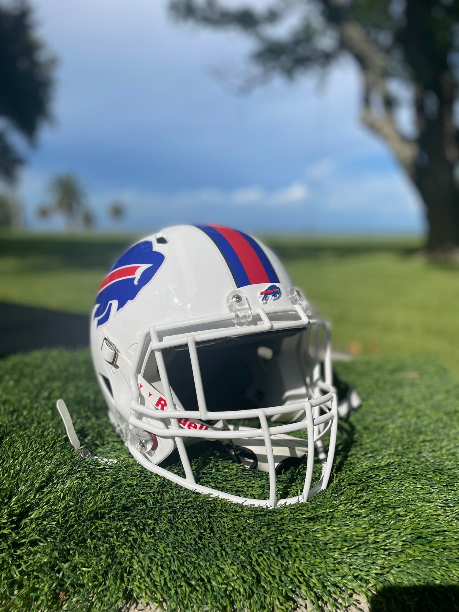 Buffalo Bills Helmet (2002-2010) - Red helmet, blue leaping buffalo logo  with navy, grey and white stripe…