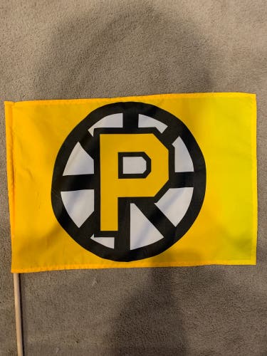 AHL Providence Bruins flag