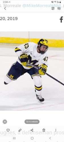 Q. Hughes Bauer Vapor 1X Pro Gloves 14" Michigan