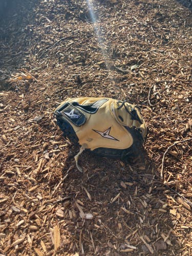 All star CM1200BT catchers mitt