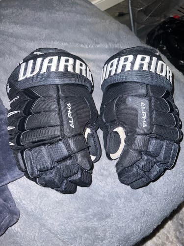 Warrior 13" Alpha DX Pro Gloves