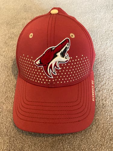 Arizona Coyotes Team Hat