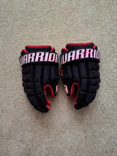 Used Warrior Franchise Gloves 14"