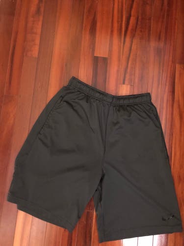 Gray New Medium Nike Shorts