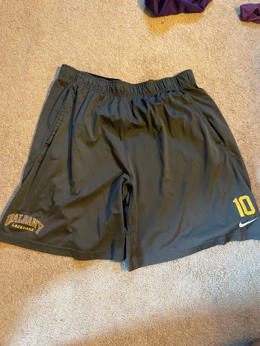Gray Used Albany Mens  XL Nike Shorts