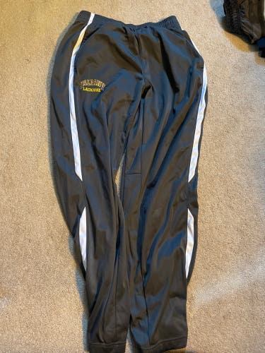 Gray Albany Mens Used Large Nike Pants
