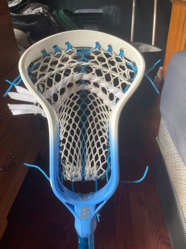 Used Strung Hawk Head